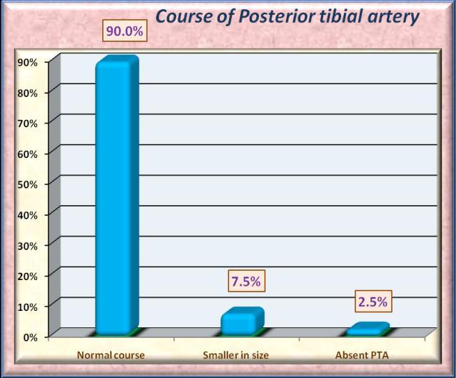 [PIC-8] PICTURE-8 COURSE OF PTA Adult specimens: [TAB-3, CHART-3] In 36 adult specimens normal course was found out of 40 specimens[ 90%] TABLE-3: Course Of Posterior Tibial Artery Sl. No.
