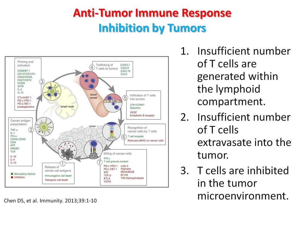 Anti-Tumor Immune