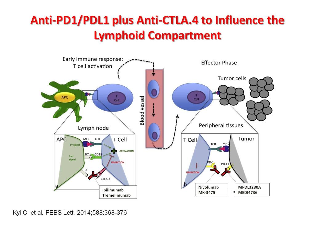 Anti-PD1/PDL1 plus Anti-CTLA.