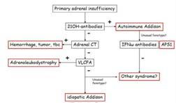 DIAGNOSTIC ALGORITHM TREATMENT OF ADRENAL INSUFFICIENCY Adrenal crisis is a life threatening emergency and requires immediate treatment.