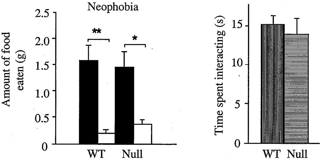 156 S.E. File / Beha ioural Brain Research 125 (2001) 151 157 Fig. 6. Mean ( ) S.E.M. number of head-dips made over three trials in the holeboard by Thy-1 null mice (Null) and their wild-type controls (WT).