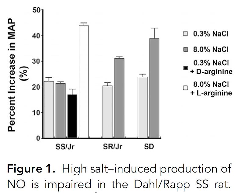 High salt induced production of NO is impaired in the Dahl SS