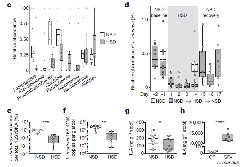 High salt diet (HSD) alters the faecal microbiome and depletes