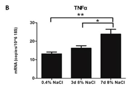 Increased TNF alfa secretion and