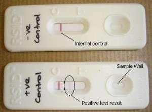 ABAcard - Hematrace Sample (antigen) is placed in sample well Antibodies are