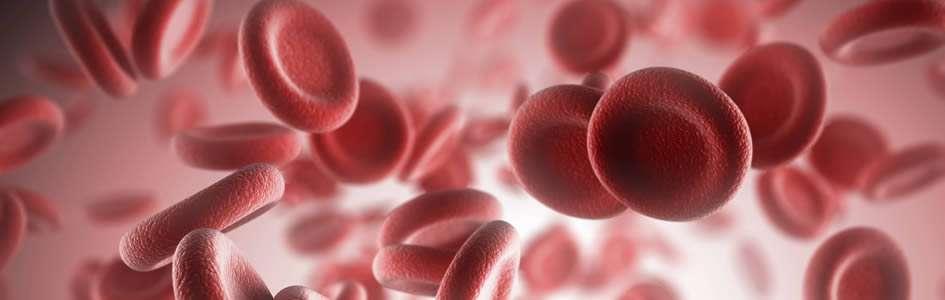 Components of Blood Cellular Components Erythrocytes (Red Blood Cells) Leukocytes