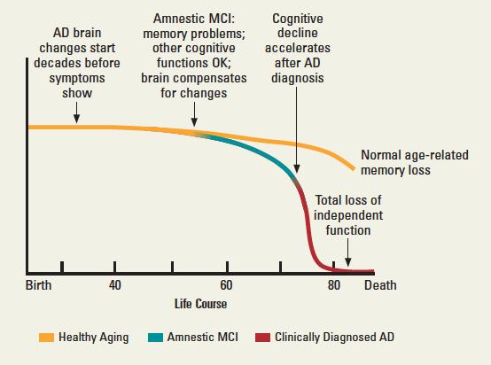 How does the course of Alzheimer s Disease differ from healthy aging?