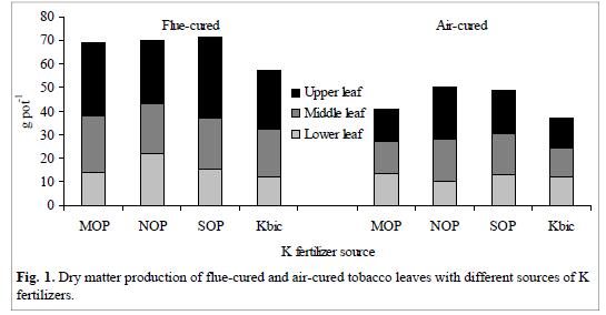 Tobacco Dry Matter IPNI Effect of Potassium on the Production