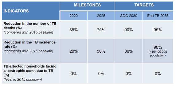 TB strategy mptb incidence: temporal trends By