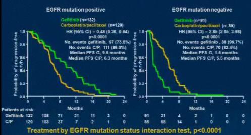PFS by EGFR Mutations