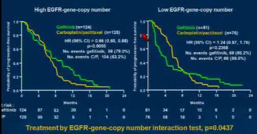 EGFR Gene Copy Number and PFS Having a higher EGFR gene copy number seemed to lead to an improved PFS when