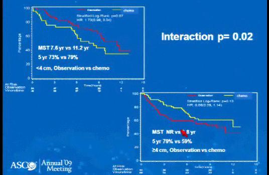 2009 Updated OS by T-size Adjuvant chemo improves survival in