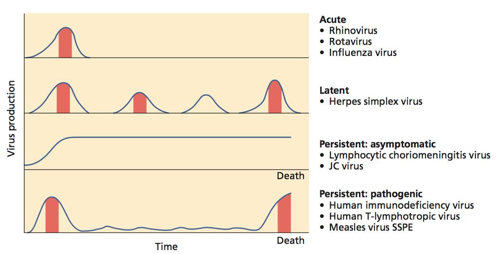 General patterns of infection