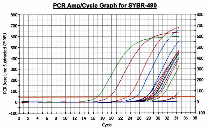 SYBR Green-Based Real-Time RT-PCR Assay for