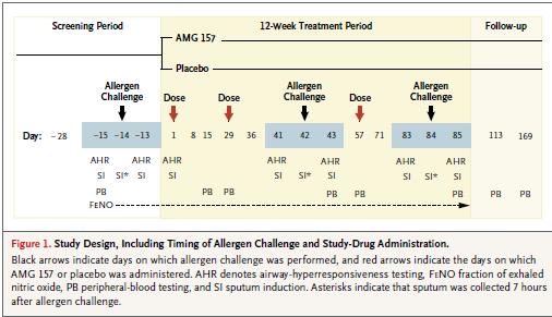 Patients were randomly assigned, in a 1:1 ratio, to receive 700 mg of AMG