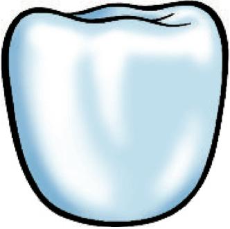 Risks to teeth Erosion Caries Acid