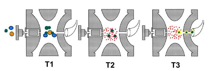 Tandem in Time Single Ion Trap 1. Trap all m/z ions. 2. RF scan to eject all m/z except the targeted m/z. 3.