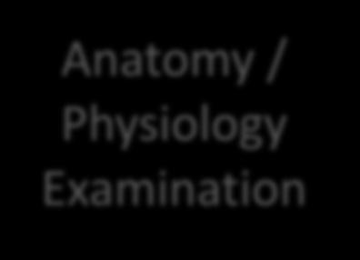 Anatomy / Physiology Examination