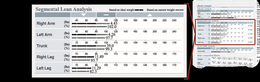 Segmental Lean Analysis The bottom bar shows you the percentage of Lean Muscle Mass compared to your own weight.