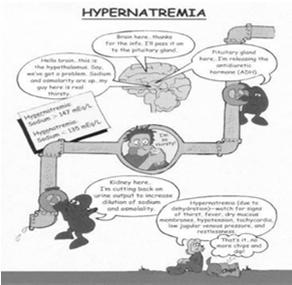 Hyperaldosteronism Hypertension Headache Blurred vision Hypokalemia Fatigue Muscle