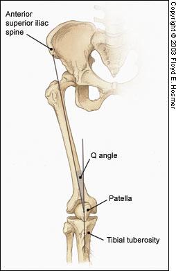 Q Angle Measurement The Quadriceps Angle (Q Angle) is formed by a line drawn from the anterior superior iliac spine (ASIS) to the