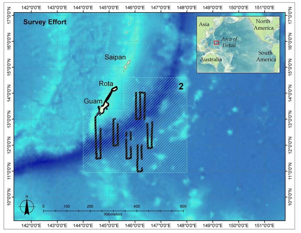 4 Figure 1. Survey Effort. Dark lines show survey effort based on GPS data. Target area (white cross-hatched region) was area 2 from the Valiant Shield Monitoring Plan (Appendix A).