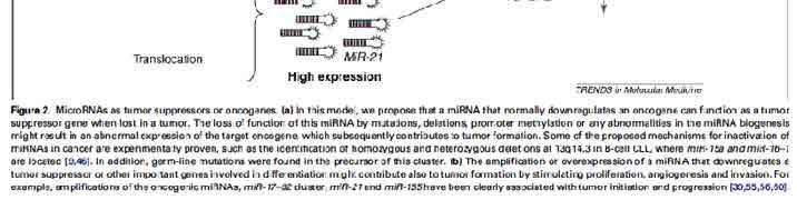 influx drug by pumping out ) mir 19, mir 21, mir 34a mrna MDR 1 Oligomer use to silence mirna Allow