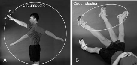 Circumduction Conical movement in which the distal end of a