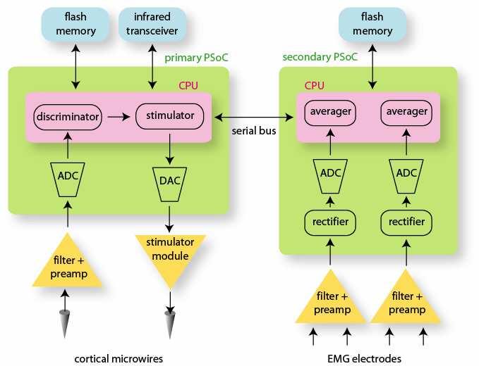 Neurochip BCI architecture: Two Cypress Programmable System-on-Chips (PSoCs)