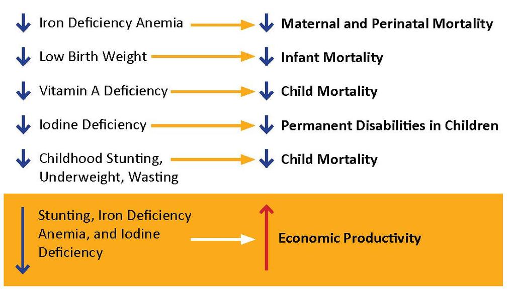 nutrition indicator listed that is assumed to improve, PROFILES calculates an estimate of a corresponding improvement in a specific health or economic outcome in terms of lives saved or economic