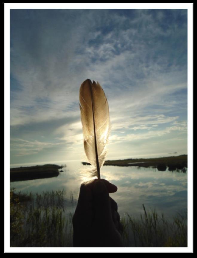 Institute for Mental Health Policy Research (IMHPR) A participatory action approach to addressing First Nations boys and men s mental health o This study uses Participatory Action Research (PAR) to