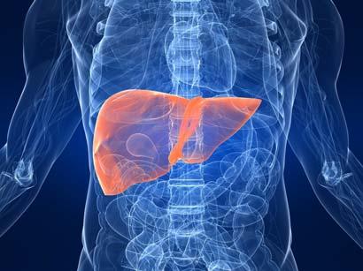 Hope For Hepatitis C Treatment Motivation to Treat HCV in Patients with