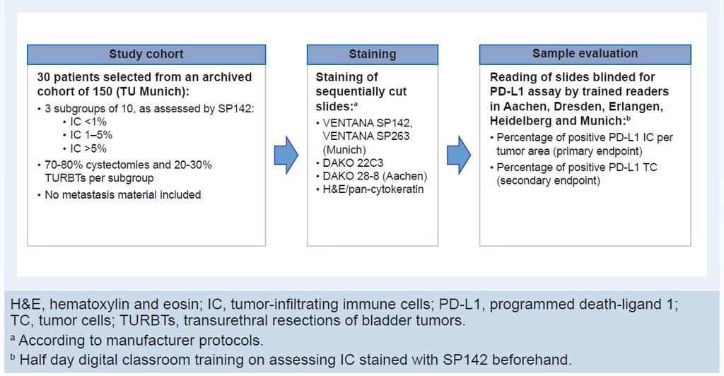 Harmonization study urothelial carcinoma Design PLACU-Study Analytical comparison of the percentage of PD-L1 stained immune cells (per tumor area) and PD-L1 stained tumor cells in 30 patients with
