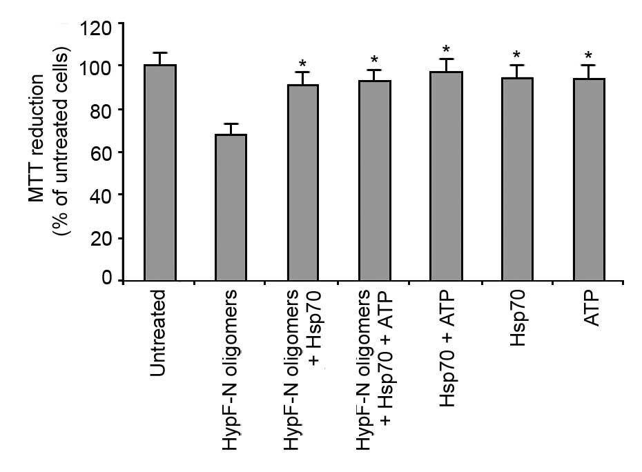 SUPPLEMENTARY FIGURES Fig. S1. Reduction of HypF-N oligomer toxicity by extracellularly added Hsp70 with or without ATP.