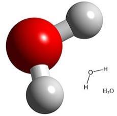 Water What is it? Simple molecule (H2O ) What is its function?
