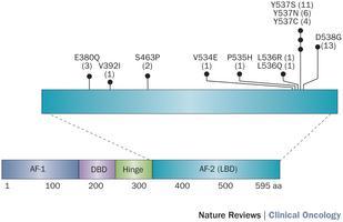 TARGETED NGS PANELS AcquiRes 4 genes, 30 amplicons ERBB2 (9) PIK3CA (6) ESR1 (7) TP53 (8) Ampli1 315 amplicons, 50 genes, 5 regions