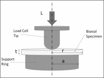 Figure 2-6 Schematic of biaxial flexure test. Disc specimen is placed on a knife edge circular support.