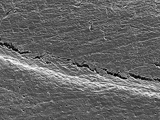 Some air bubbles were visible in the interface layer, and cracking in the dentine surface can be seen. The interface layer has a thickness of ~ 5-10 µm.