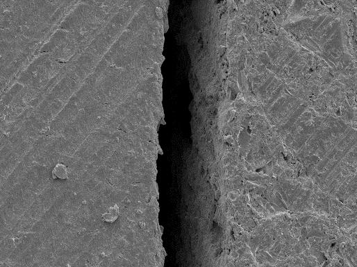 the interface layer was well defined, with a thickness of ~ 10-15 µm.