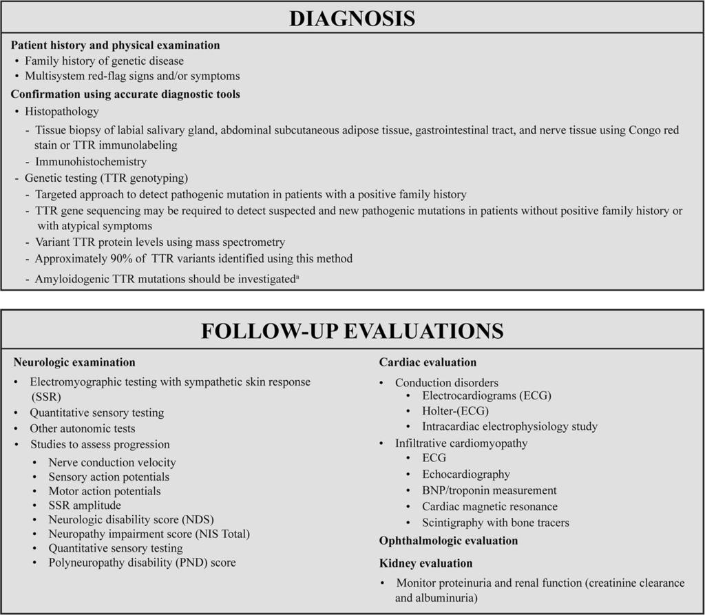 Sekijima et al. Orphanet Journal of Rare Diseases (2018) 13:6 Page 8 of 17 Fig. 4 Diagnostic tools and follow-up evaluations for ATTR-FAP.