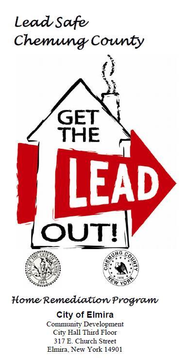 Past Efforts in Lead Poisoning Prevention Collaboration