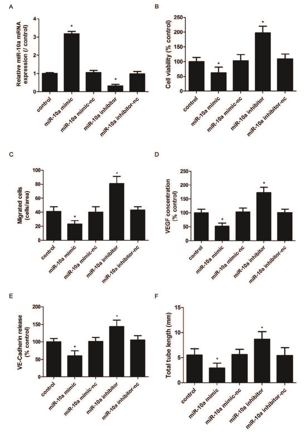 2200 MiR-10a suppresses MUVECs viability, migration and tube formation MiR-10a levels in MU- - and VE-cadherin (E) concentrations in the culture medium.