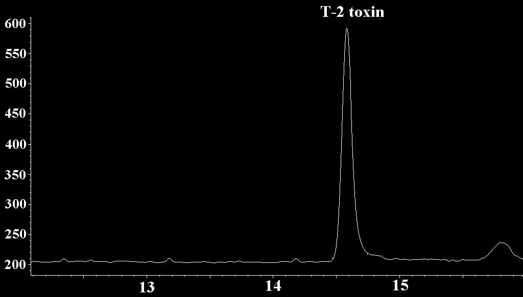 Signal intensity m/z 37