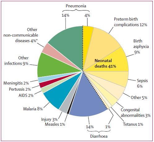 Causes of under-five deaths (Global) in 2008 Black RE et al.