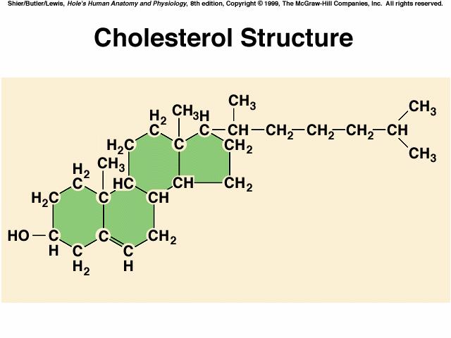 with different functional groups; Cholesterol is a steroid- aids in