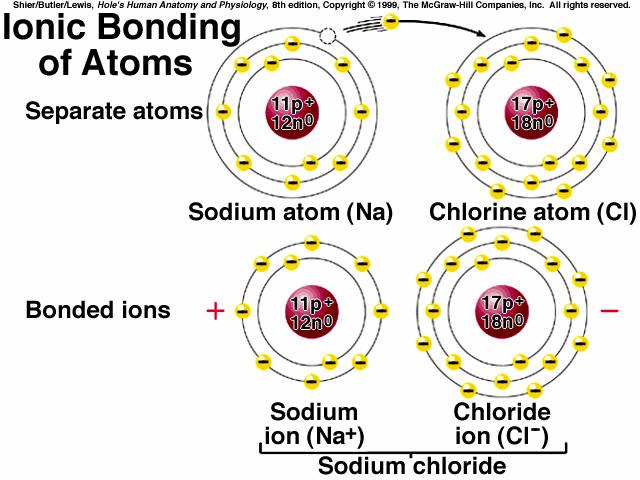 C. Isotopes isotopes - atoms with the same atomic number & differing atomic weights (ex.