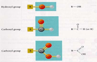 RINGS functional group model structural formula FUNCTIONAL GROUPS: groups