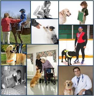 Scope of Animal Assisted Support Services Animal-Assisted Therapy/Activities Equine Facilitated Learning Equine Leadership Development Equine Assisted Therapy Guide and Assistance Dogs Helping