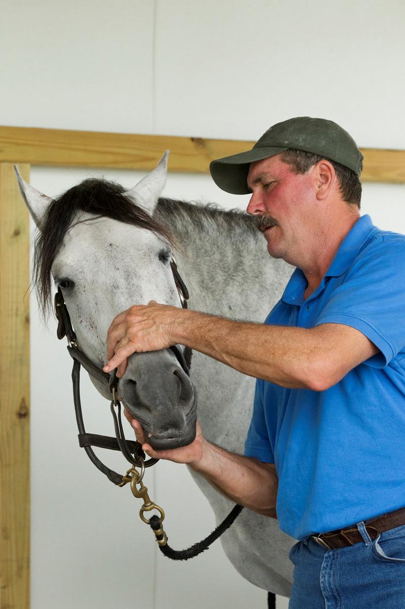 Masterson Method Equine Therapy Specialist Training Due to the complex nature of the responses that horses exhibit while participating in Masterson Method work and to the need to be able to