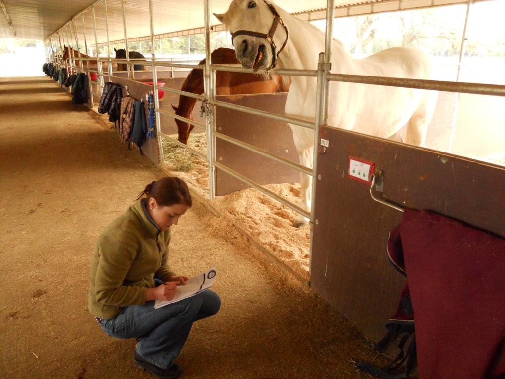 During the last 18 months: we have piloted the Masterson Method with Equine Assisted Programs, developed a Masterson Method Equine Therapy Specialist training course, and conducted the inaugural MMET